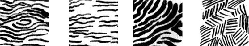 Zeichnen bei NadjasArt