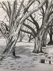 Zeichnen bei NadjasArt