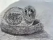 Zeichnen bei NadjasArt