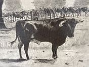 Zeichnen bei NadjasArt